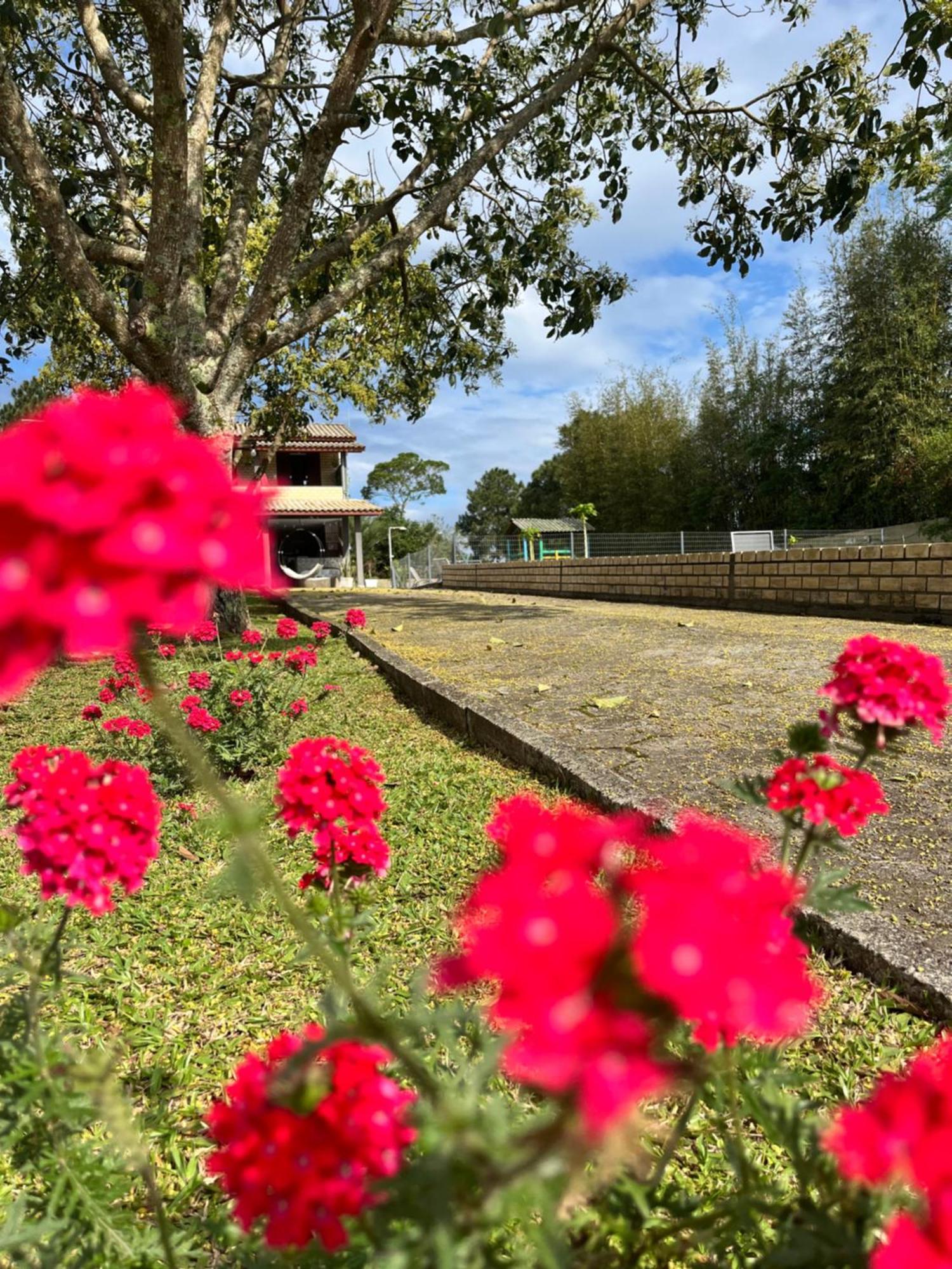 Encantos Do Rosa *